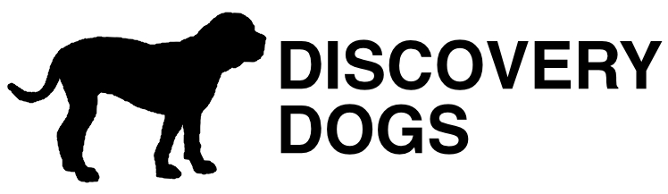 Discovery Dogs - Professional Insured Approved Dog Walkers in Dudnee